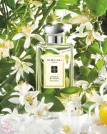 Orange Blossom Jo Malone