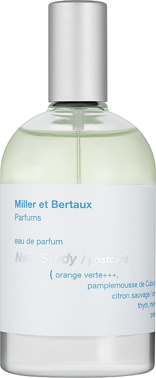 New Study (Postcard) Miller et Bertaux