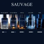 Sauvage parfum Dior Флакон 30 мл