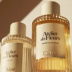 Cedrus Intense Chloé
