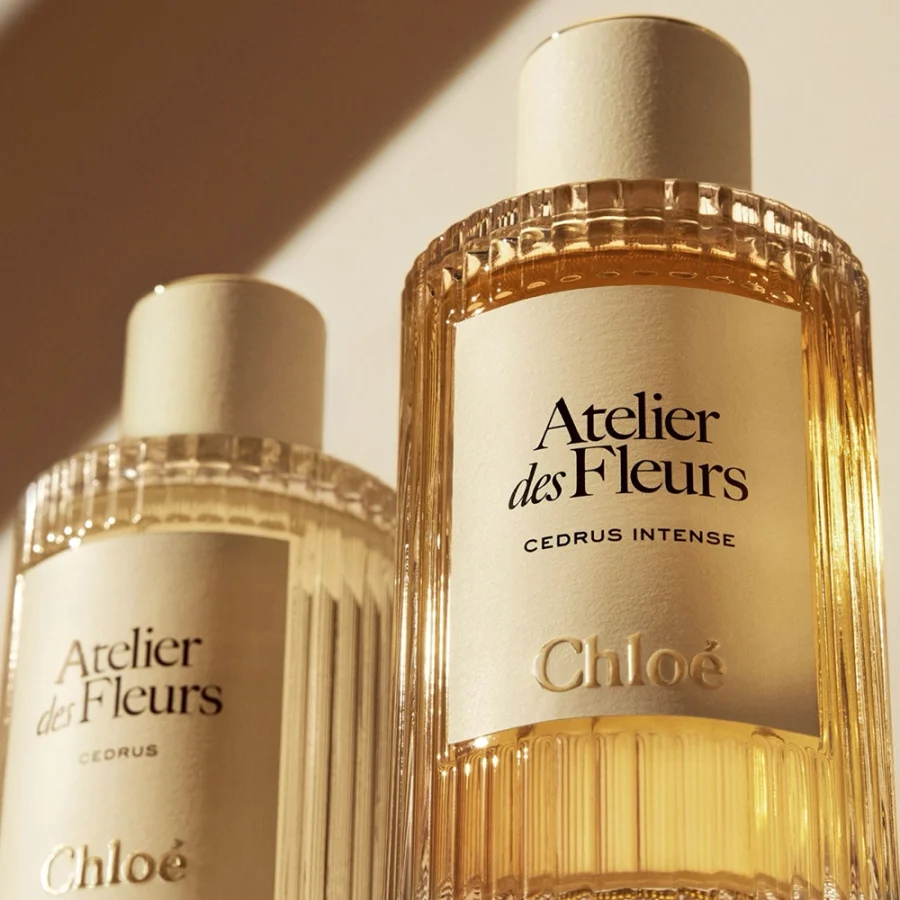 Cedrus Intense Chloé