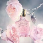 Eladaria Creed