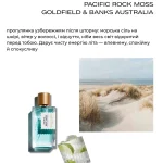 box SUMMER 5/2 ml